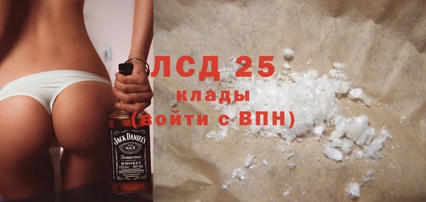 мяу мяу мука Инсар