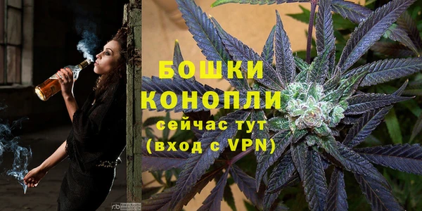 мяу мяу мука Инсар