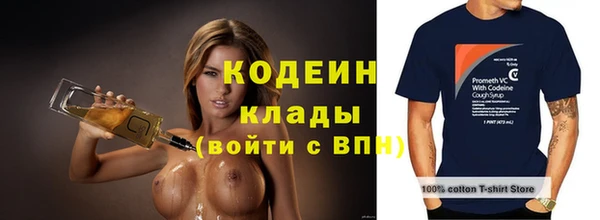 мяу мяу мука Инсар