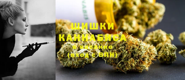 мяу мяу мука Инсар