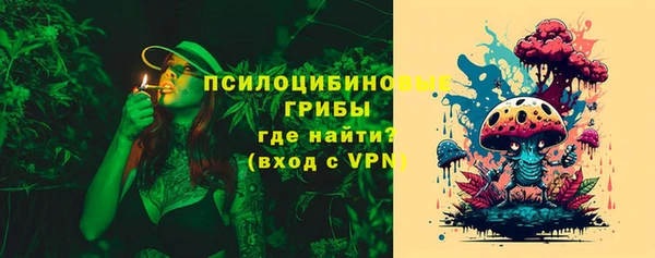 мяу мяу мука Инсар